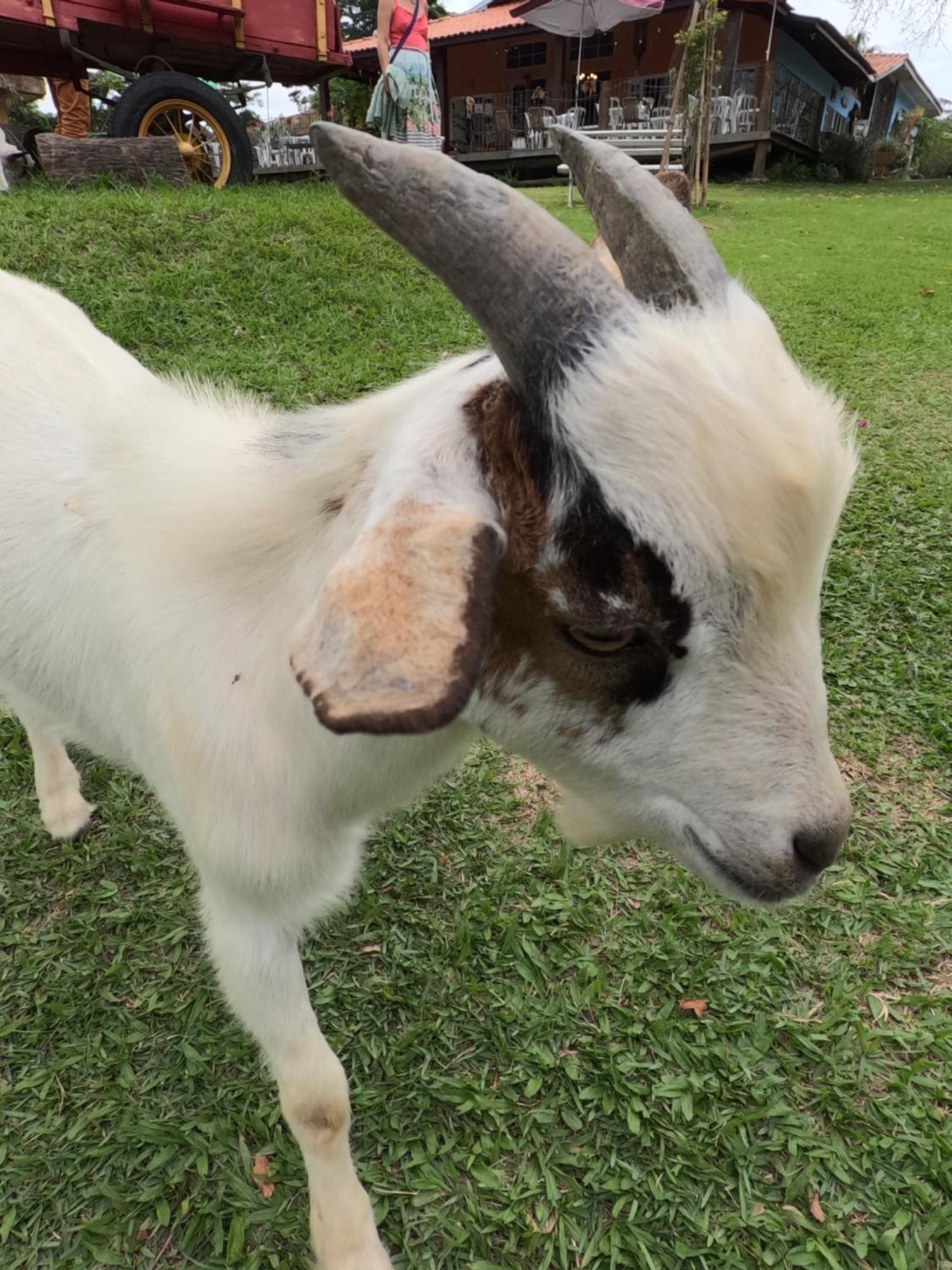 Aldeia Parque Pousada Rural Sao Roque  Ngoại thất bức ảnh