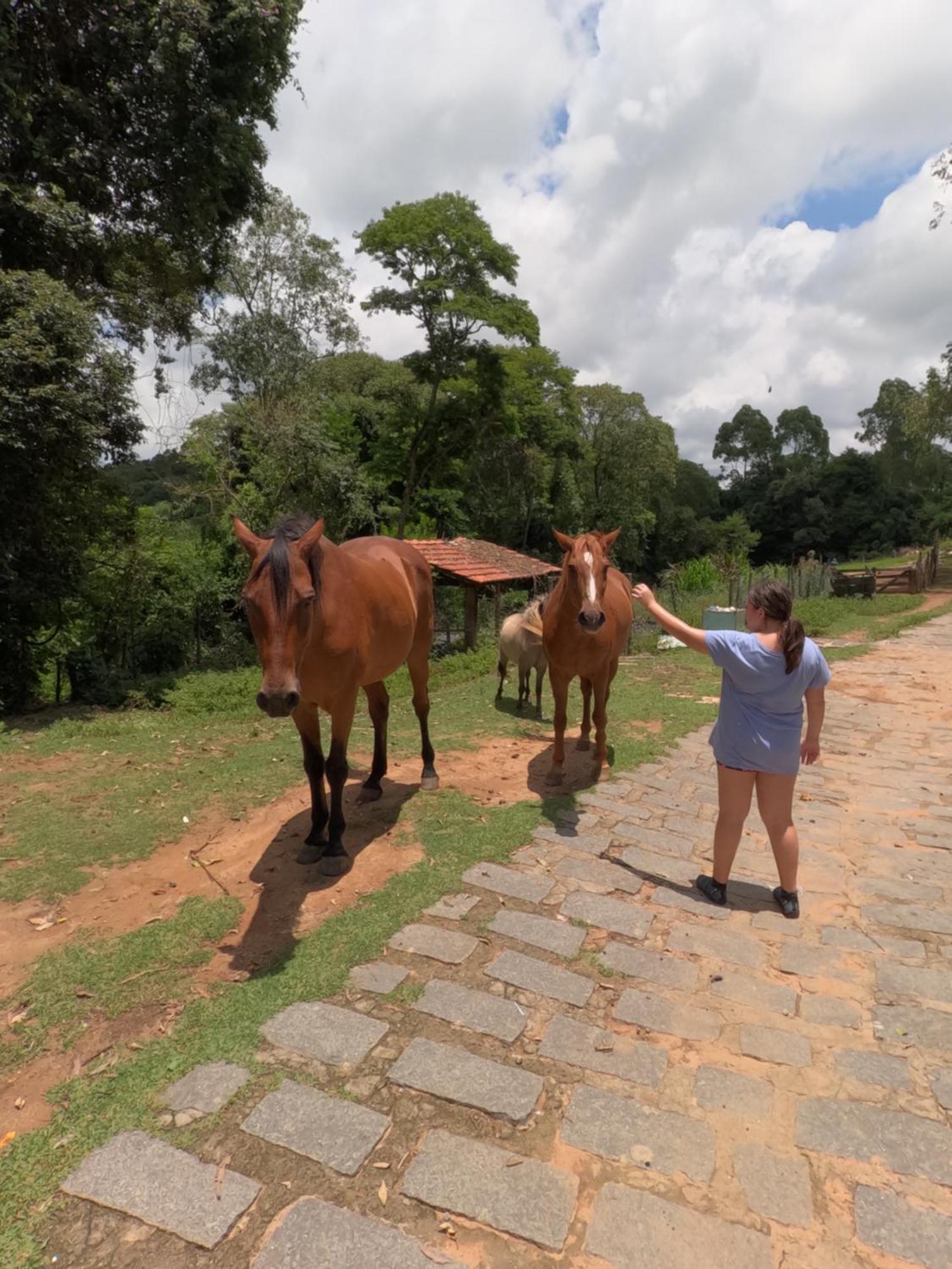 Aldeia Parque Pousada Rural Sao Roque  Ngoại thất bức ảnh