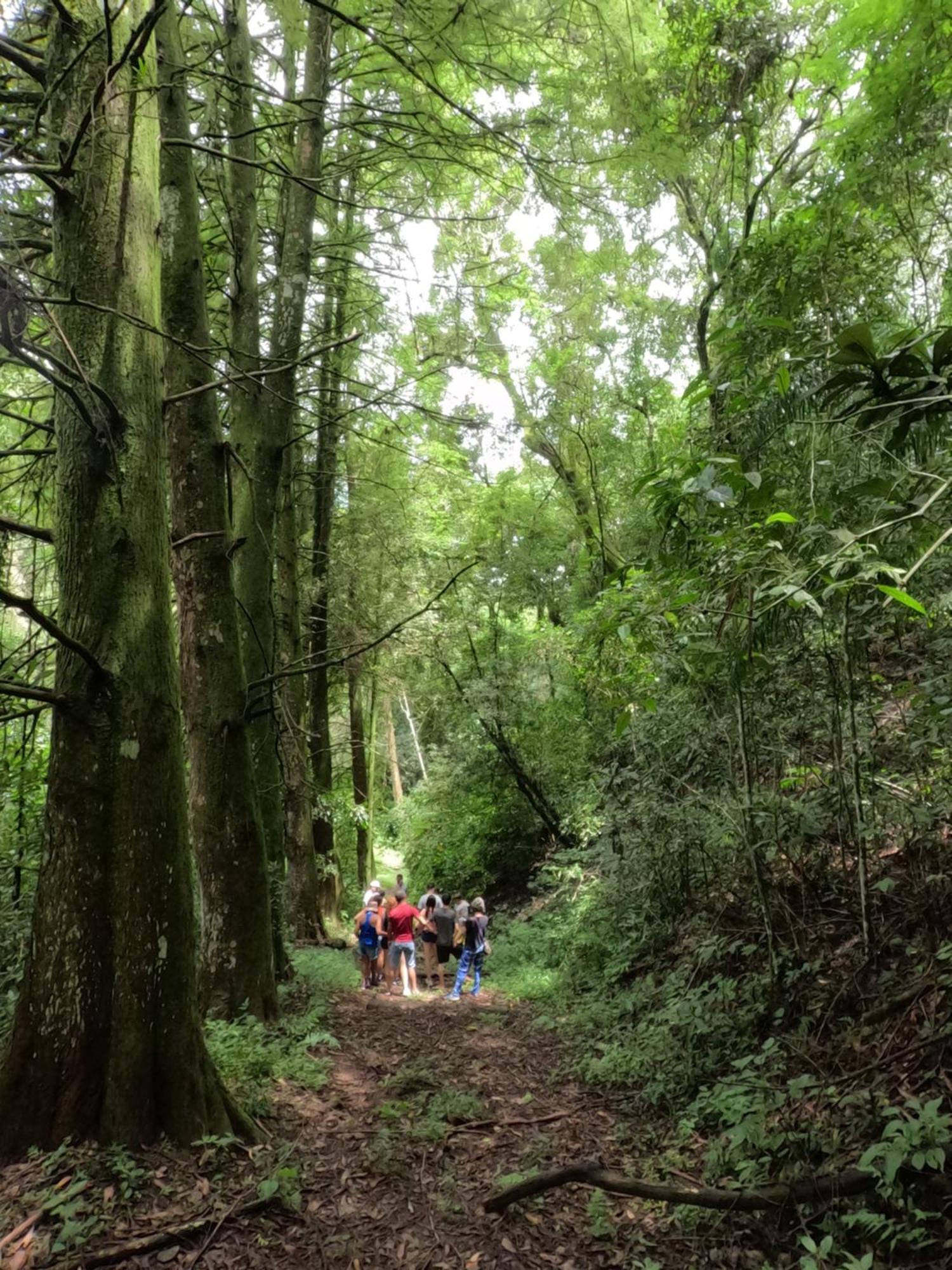 Aldeia Parque Pousada Rural Sao Roque  Ngoại thất bức ảnh